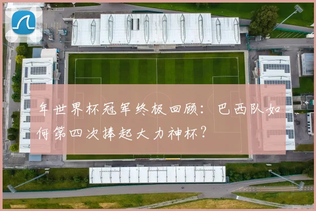 年世界杯冠军终极回顾:巴西队如何第四次捧起大力神杯?