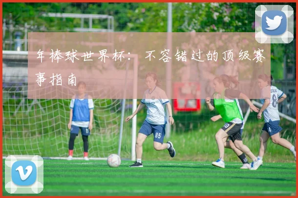 年棒球世界杯：不容错过的顶级赛事指南